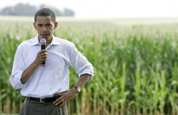 Obama_in_the_corn