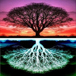 tree-of-life